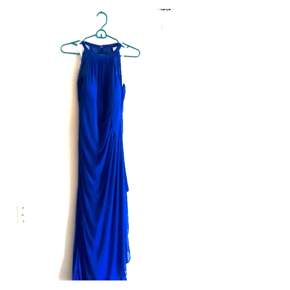 Cobalt Blue Long Mesh David's Bridal Dress